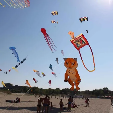 Hébergement de vacances The Charming Mare Pineta-mobile Home-4 Persons *