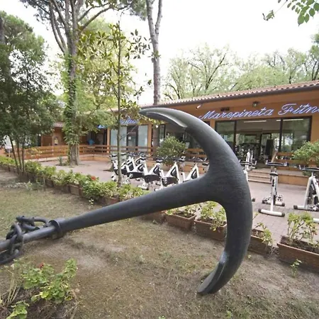 Casa vacanze The Charming Mare Pineta-mobile Home-4 Persons *